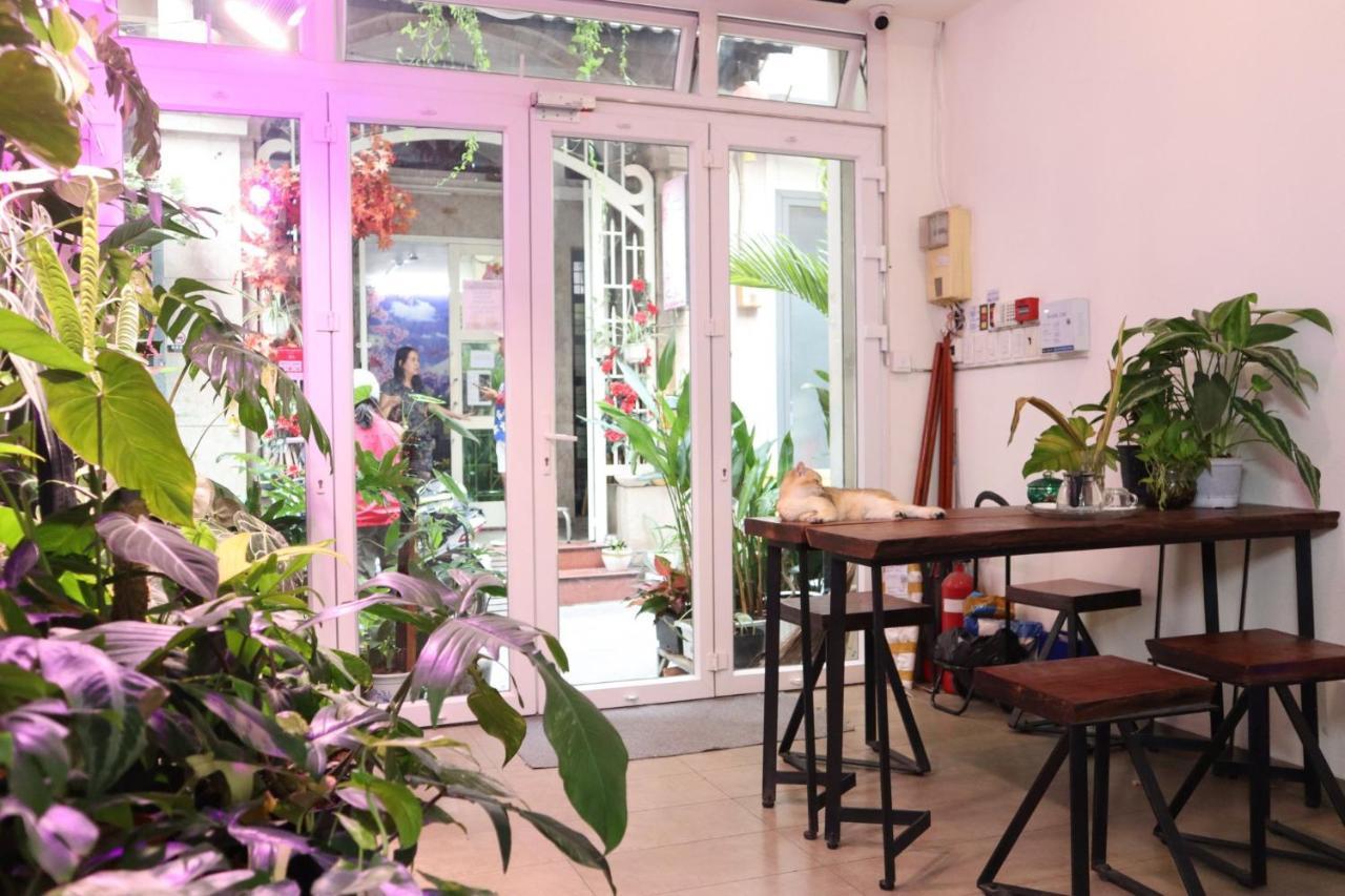 Nhà trọ Amango Dorm *
