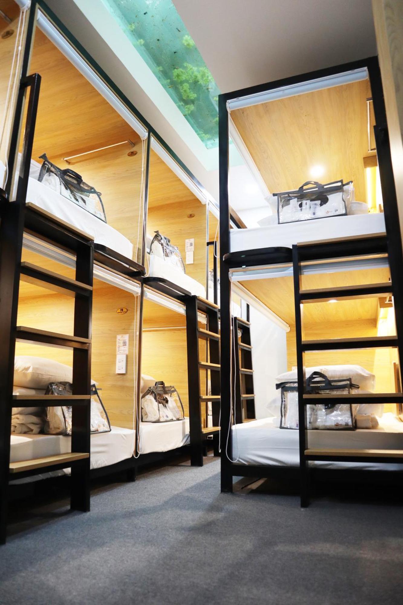 Amango Dorm TP. Hồ Chí Minh