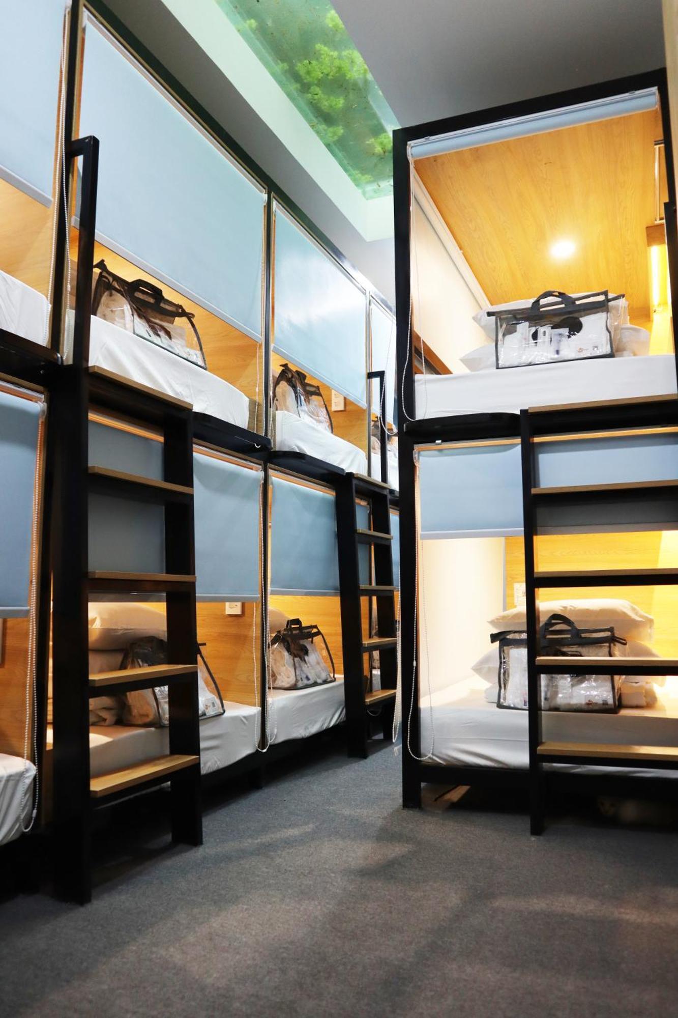 Amango Dorm Nhà trọ TP. Hồ Chí Minh