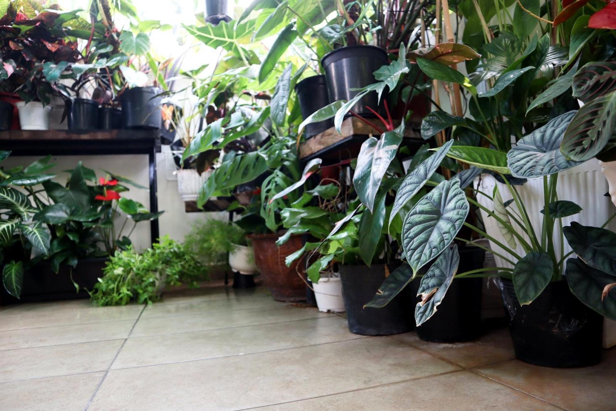 Amango Dorm Nhà trọ *