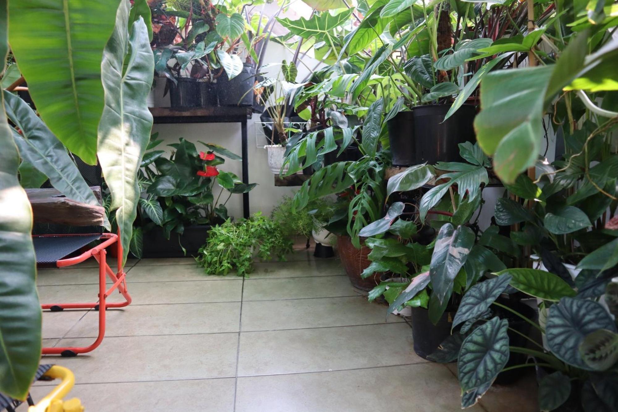 Amango Dorm Nhà trọ *