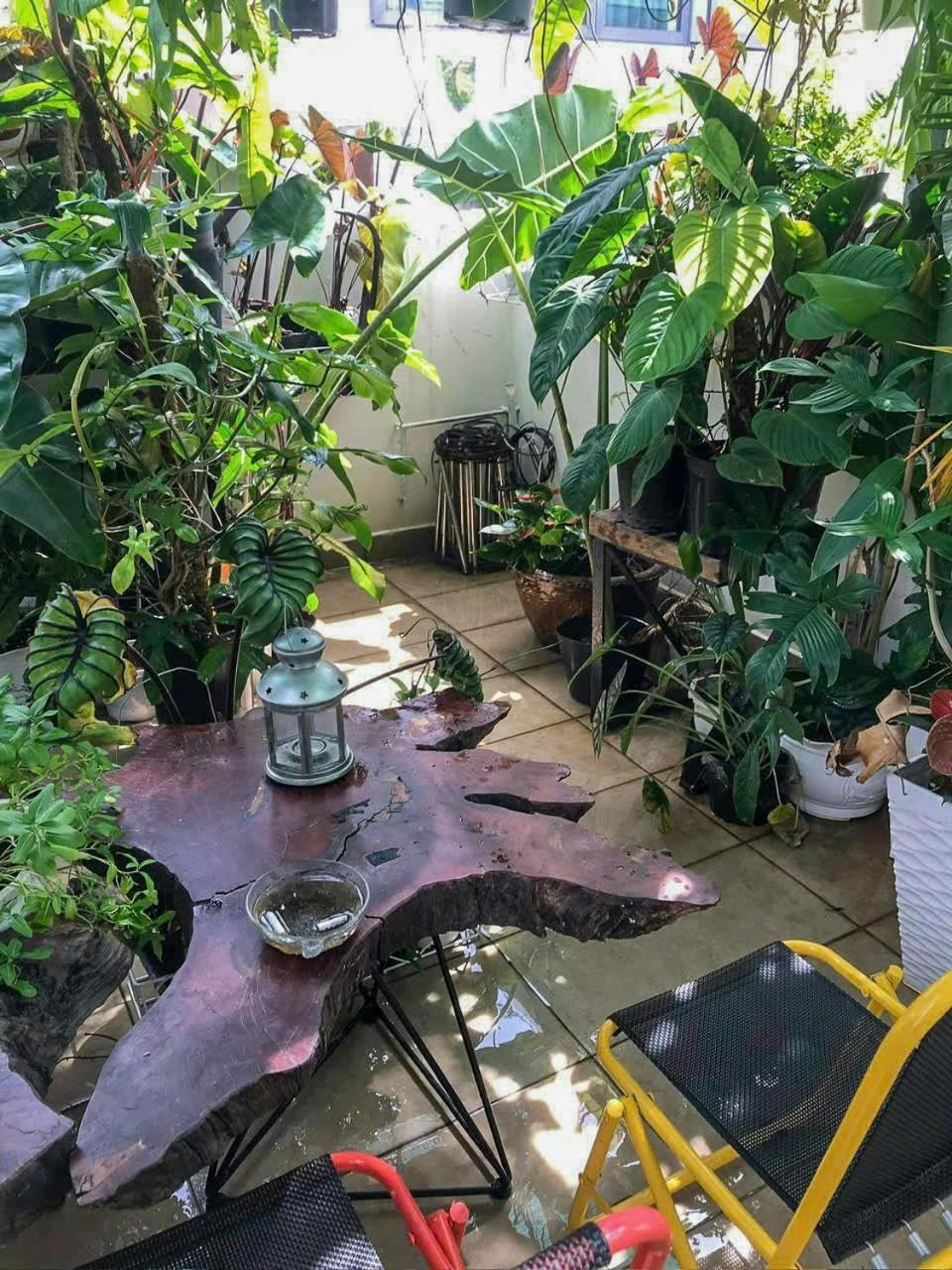 Nhà trọ Amango Dorm *